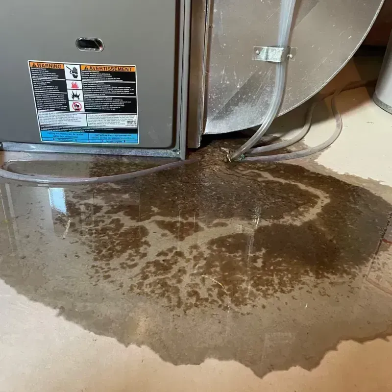 Appliance Leak Cleanup in City of Fairfax, VA